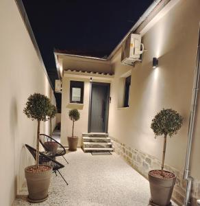 沃洛斯Volos Guesthouse Konstantina的门前有三棵盆栽树的走廊