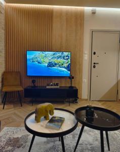 沃洛斯Volos Guesthouse Konstantina的客厅配有电视和桌子上的熊