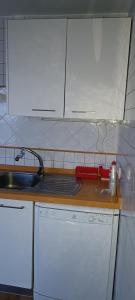 奇皮奥纳EDIFICIO DUPLEX的厨房配有水槽和台面