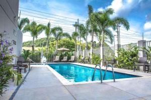 巴亚蒙巴亚蒙广场凯悦酒店的棕榈树游泳池及度假村