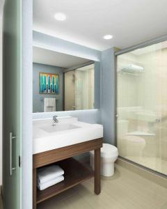 奥斯汀奥斯汀机场凯悦嘉轩酒店的一间带水槽、淋浴和卫生间的浴室