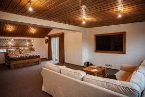 Camelot Ostrava的客厅配有沙发和1张床