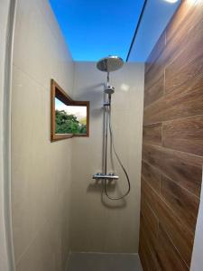 勒卡尔贝Villa Indigo的带淋浴的浴室和天窗