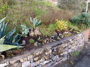 Ponzano SuperioreIl Fontolo的石墙中种有多种植物的花园