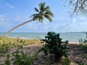 Ban Hin Sam KonHomeState Bang Maprao的海滩上的棕榈树与大海