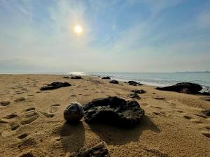 Ban Hin Sam KonHomeState Bang Maprao的沙滩上的岩石