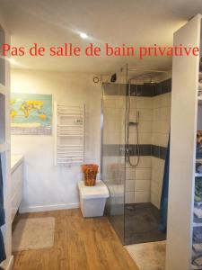 Saint-André-de-MajencoulesLe Puech et vous的一间带玻璃淋浴和卫生间的浴室