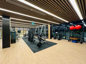 胡志明市LUMIÈRE RESIDENT LUXURY SUITE的大楼内带跑步机和健身器材的健身房
