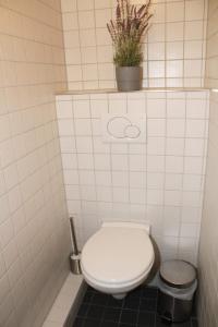 汉堡Hamburger Perle am Gänsemarkt und Binnenalster的浴室设有卫生间,墙上挂有植物