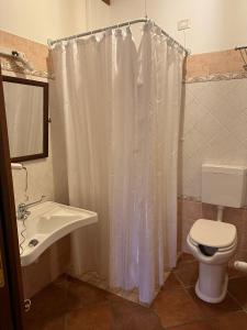 PolazzoLa corte dell'ulivo的浴室配有白色的浴帘和卫生间