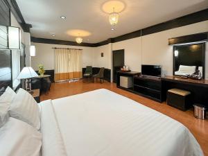 美塞斯拉曼尼温泉度假村的一间大卧室,配有白色的床和电视