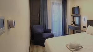 伊斯坦布尔Shishly Palace Hotel的配有一张床和一把椅子的酒店客房