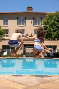 圣罗莎索诺玛酒庄凯悦酒店 的两个女人跳进游泳池
