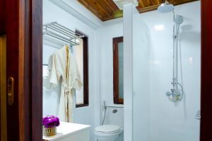 琅勃拉邦Villa Khili Namkhan的白色的浴室设有卫生间和淋浴。