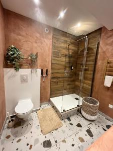 耶尔Appartement centre historique, idéal couple的一间带卫生间和玻璃淋浴间的浴室