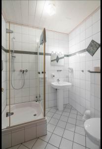 弗赖堡Landhotel Weingut Schulze的带淋浴和盥洗盆的浴室
