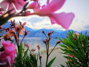 布雷佐内加尔达Hotel Drago - Garda Lake Collection的海滩上的水景和鲜花景