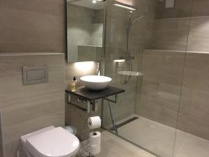 里瑟尔里瑟尔酒店的一间带水槽、淋浴和卫生间的浴室