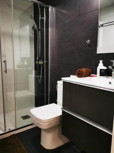 罗列特海岸Apartment Ruby的一间带卫生间和玻璃淋浴间的浴室