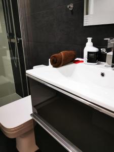 罗列特海岸Apartment Ruby的一间带水槽、卫生间和镜子的浴室