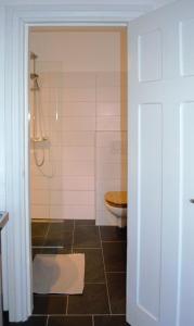 卡尔斯鲁厄Südstadtquartier的带淋浴、卫生间和门的浴室