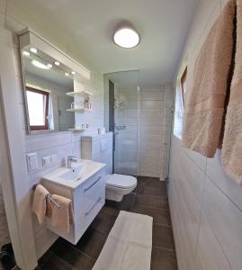 滨湖席弗灵法勒之家住宿加早餐旅馆的一间带水槽、卫生间和镜子的浴室