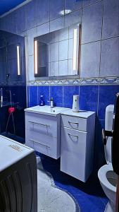 多博伊Apartman Sekulić的蓝色瓷砖浴室设有水槽和卫生间