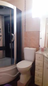 UlmuSION In Ulmu的浴室配有卫生间、淋浴和盥洗盆。