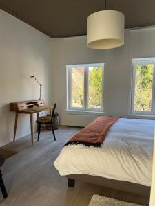 布鲁日Residence9Bruges的卧室配有一张床、一张书桌和窗户。