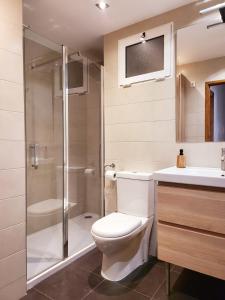 马略卡岛帕尔马Jaime III - Palma center - Luxury Suites的浴室配有卫生间、淋浴和盥洗盆。
