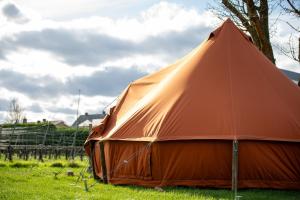 马塞克Camping de Boomgaard的坐在草地上的橙色大帐篷