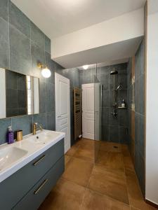 BeaucheryLe SAN - Chambre d'hôtes INCLUSIVE & ÉCORESPONSABLE的一间带水槽和淋浴的浴室