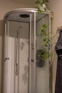 沃尔克姆Studio An的玻璃门和植物淋浴