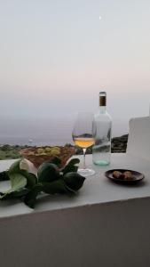 RinellaSalina Castel Vinci的一杯葡萄酒和一瓶桌子