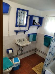英雄港Casa da Lapa的一间带水槽、卫生间和镜子的浴室