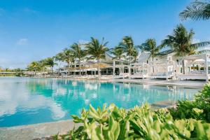 威廉斯塔德帕帕加海滩酒店的棕榈树和建筑度假村的游泳池