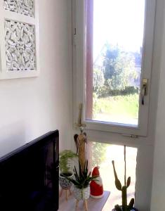 PullyLausanne/Pully: appartement moderne et très bien situé的桌子上一些植物的窗户