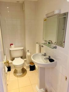 波士顿The Poachers Hotel的白色的浴室设有卫生间和水槽。