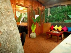本托塔Selnara Private Luxury Villa and Ayurveda Spa的一间配备有沙发及植物桌子的房间