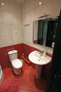 敖德萨Mini hotel in Observatorniy的一间带卫生间、水槽和镜子的浴室