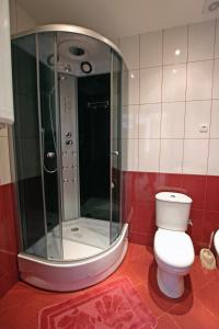 敖德萨Mini hotel in Observatorniy的带淋浴和卫生间的浴室