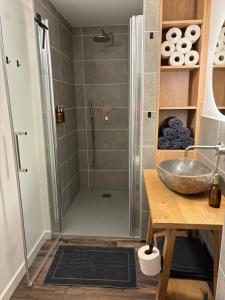 安特卫普B&B Sint-Mariaburg的带淋浴和盥洗盆的浴室