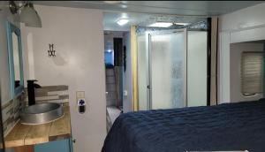 北迈尔斯堡Shroom life farm Chicken shack的一间卧室配有一张床,浴室设有水槽