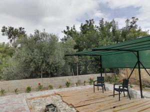 ÇakırlarNar Bahçesi的一个带两把椅子和绿伞的庭院