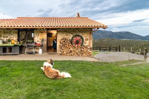 列尔加内斯Casa rural La alemana的坐在房子前面的草地上的狗