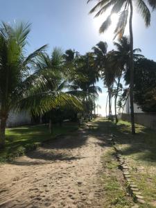 嘎林海斯港Portoparadise - Mandakaru Residence Flat 10的海滩上一条棕榈树成荫的土路