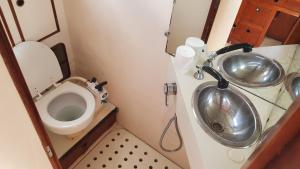 勒马兰Voilier CHENRESIK的一间带卫生间和水槽的小浴室
