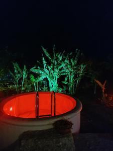 克雷马斯蒂Azalea garden appartment with mountain view的树木前的红浴缸,绿灯