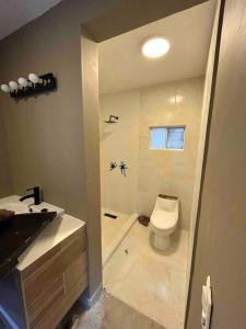 库奥特拉莫雷洛斯Casa Palmeras的浴室配有卫生间、淋浴和盥洗盆。