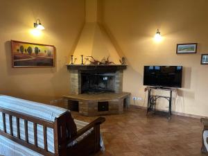蒙塔尔奇诺Agriturismo S. Eurosia的客厅设有壁炉和平面电视。